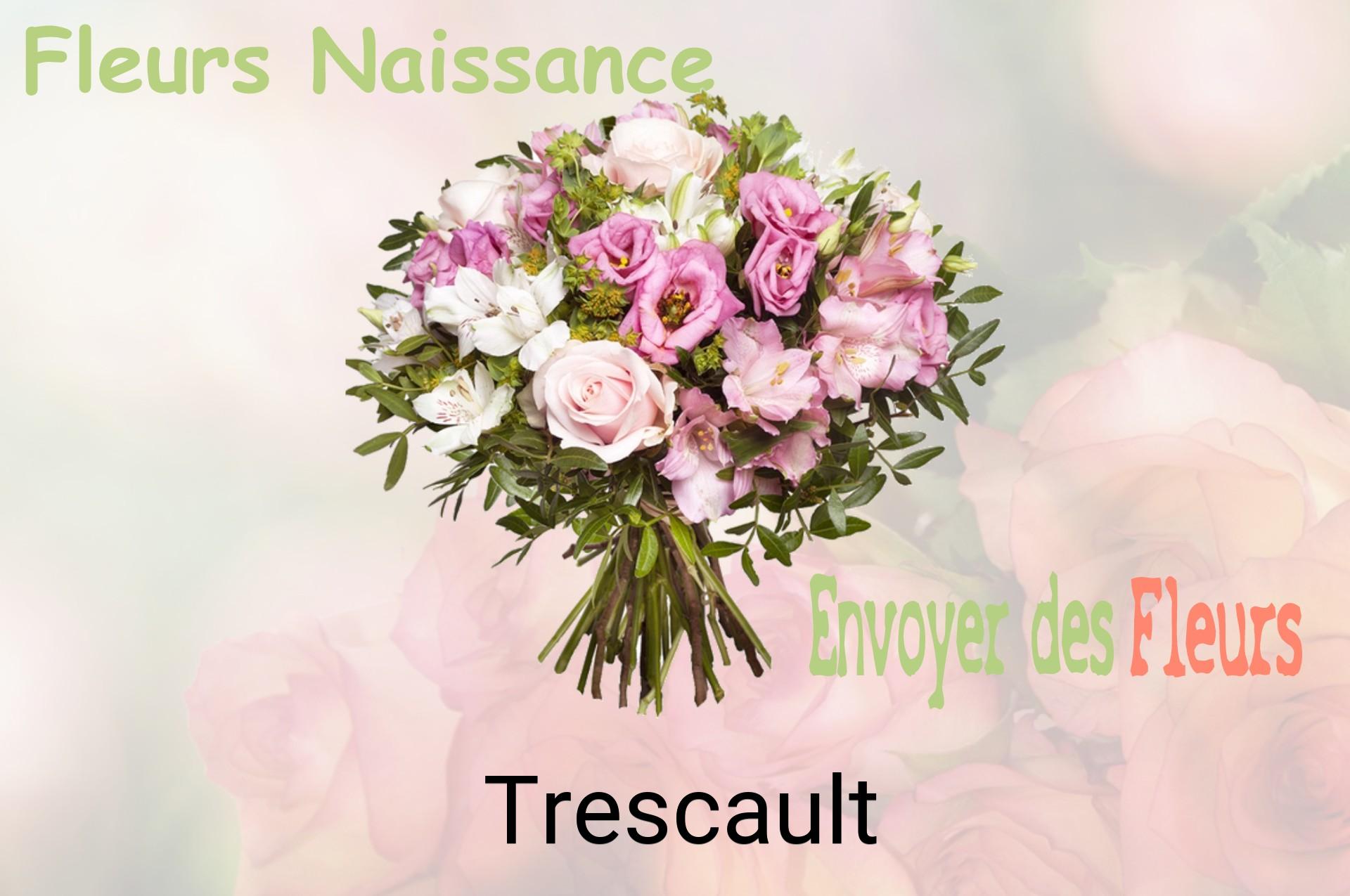 Bouquet de fleurs de naissance livré à Trescault