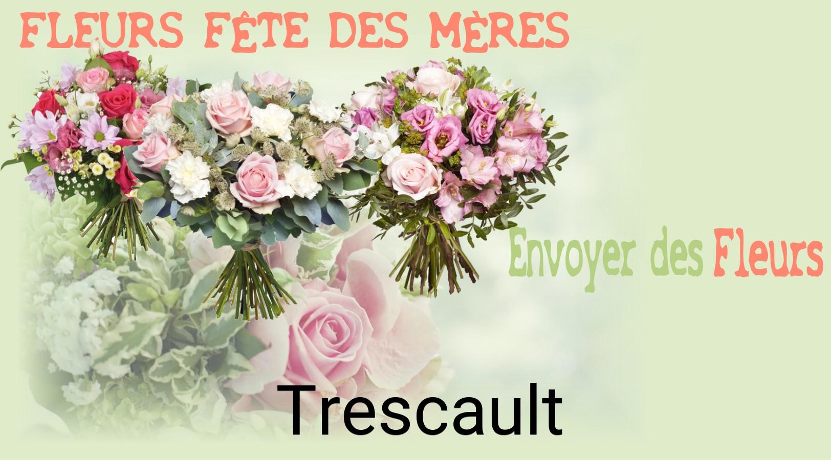 Bouquet de Fête des Mères livré à Trescault